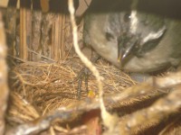 /album/galeria-de-fotos-fotos/ozzy-009-jpg/